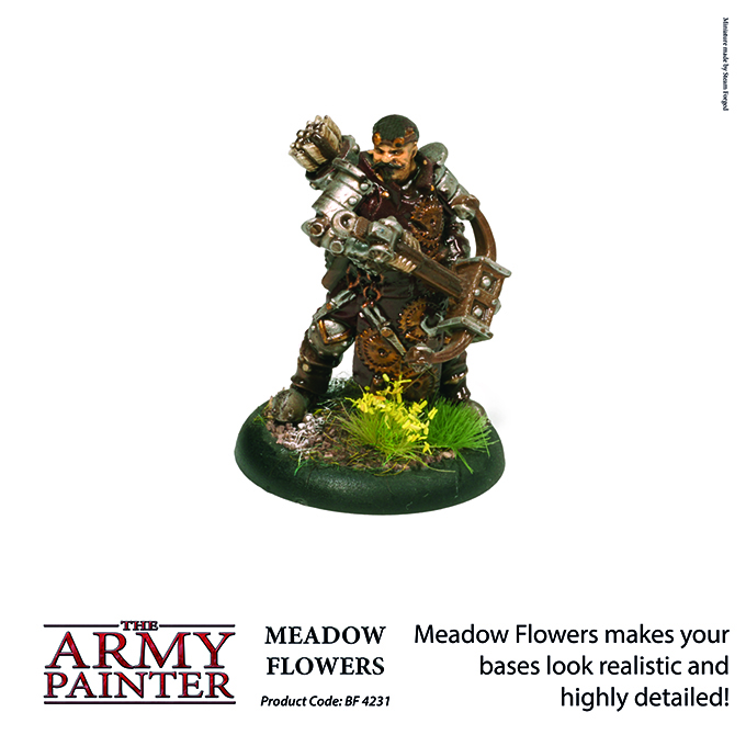 Meadow Flowers (2019)